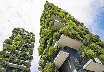 Why Green Building Practices Are the Future of Real Estate